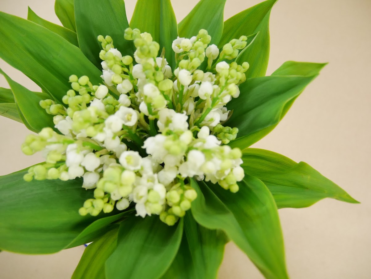 すずらんの花束