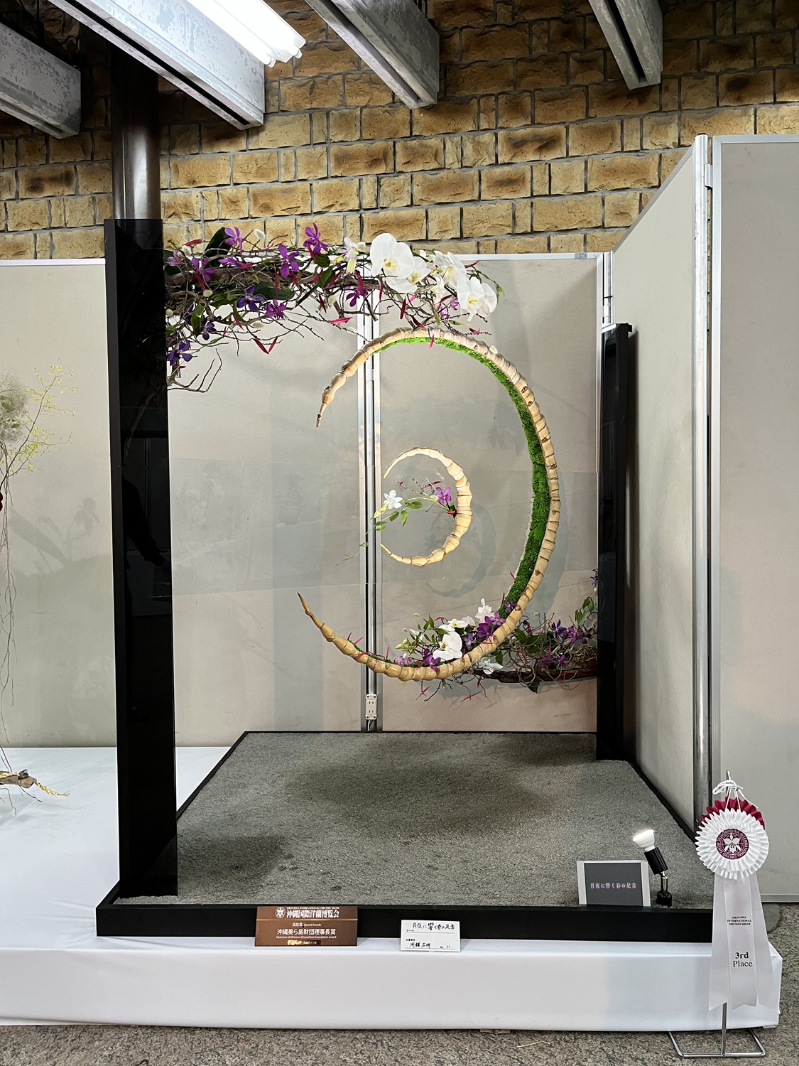 月夜に響く春の足音