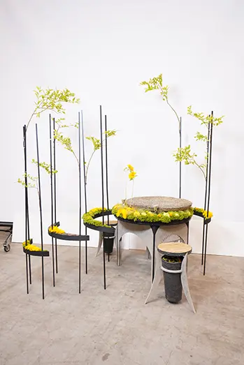 苫米地 博氏の作品