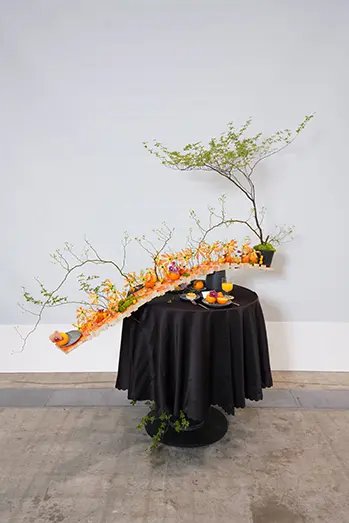秋田 真吾氏の作品