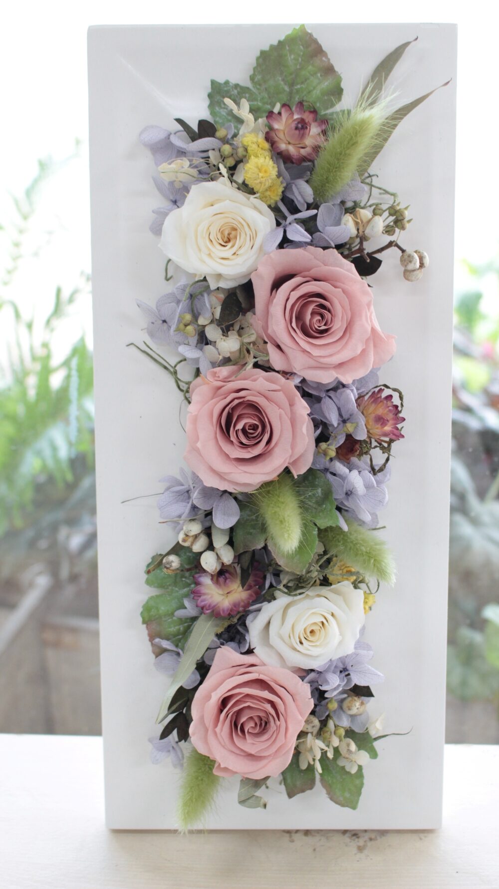 ピンクと白のバラ