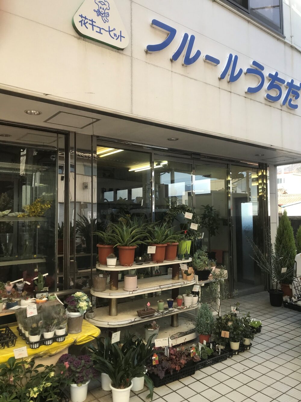 フルールうちだ 