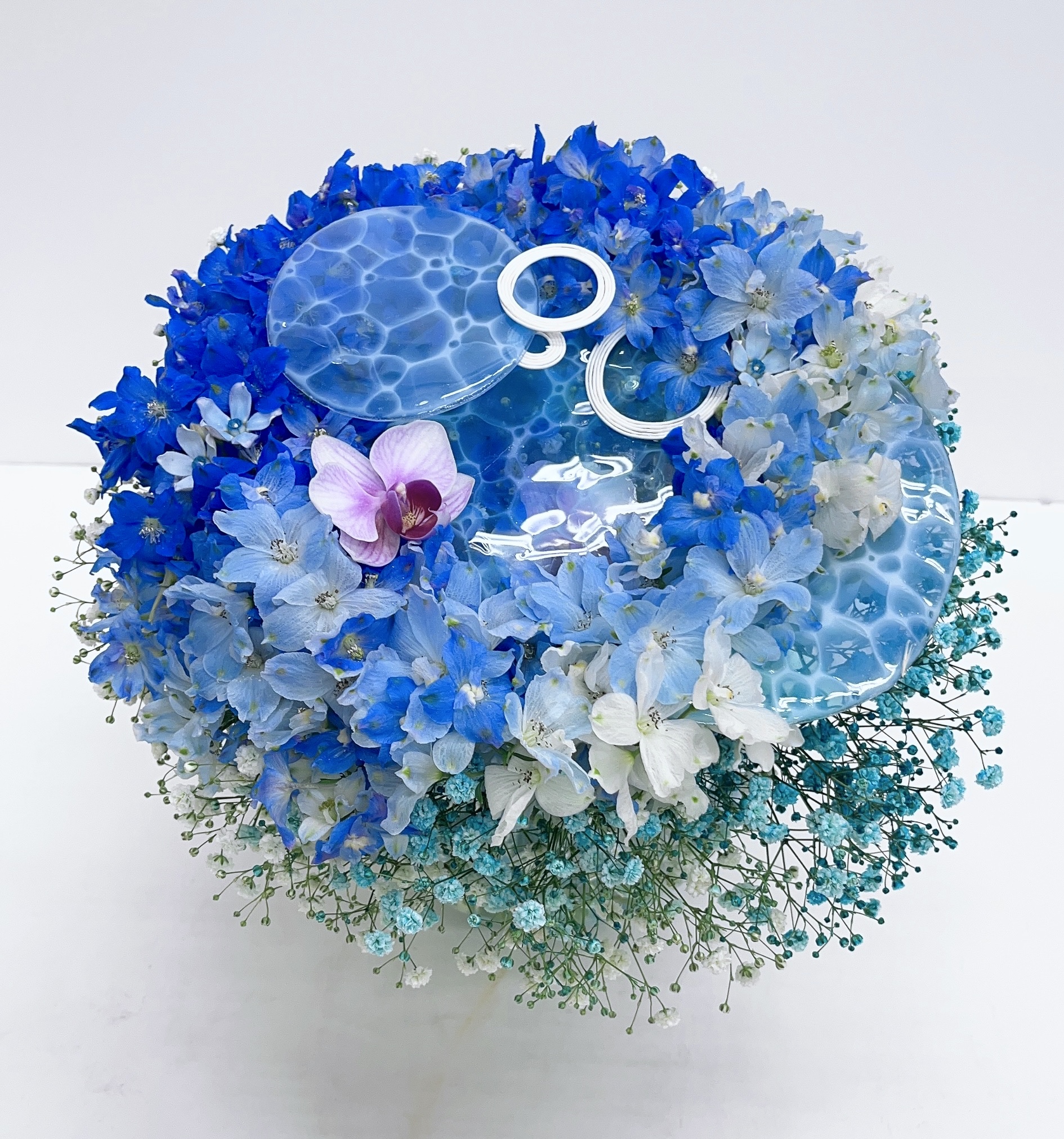 デルフィニウム