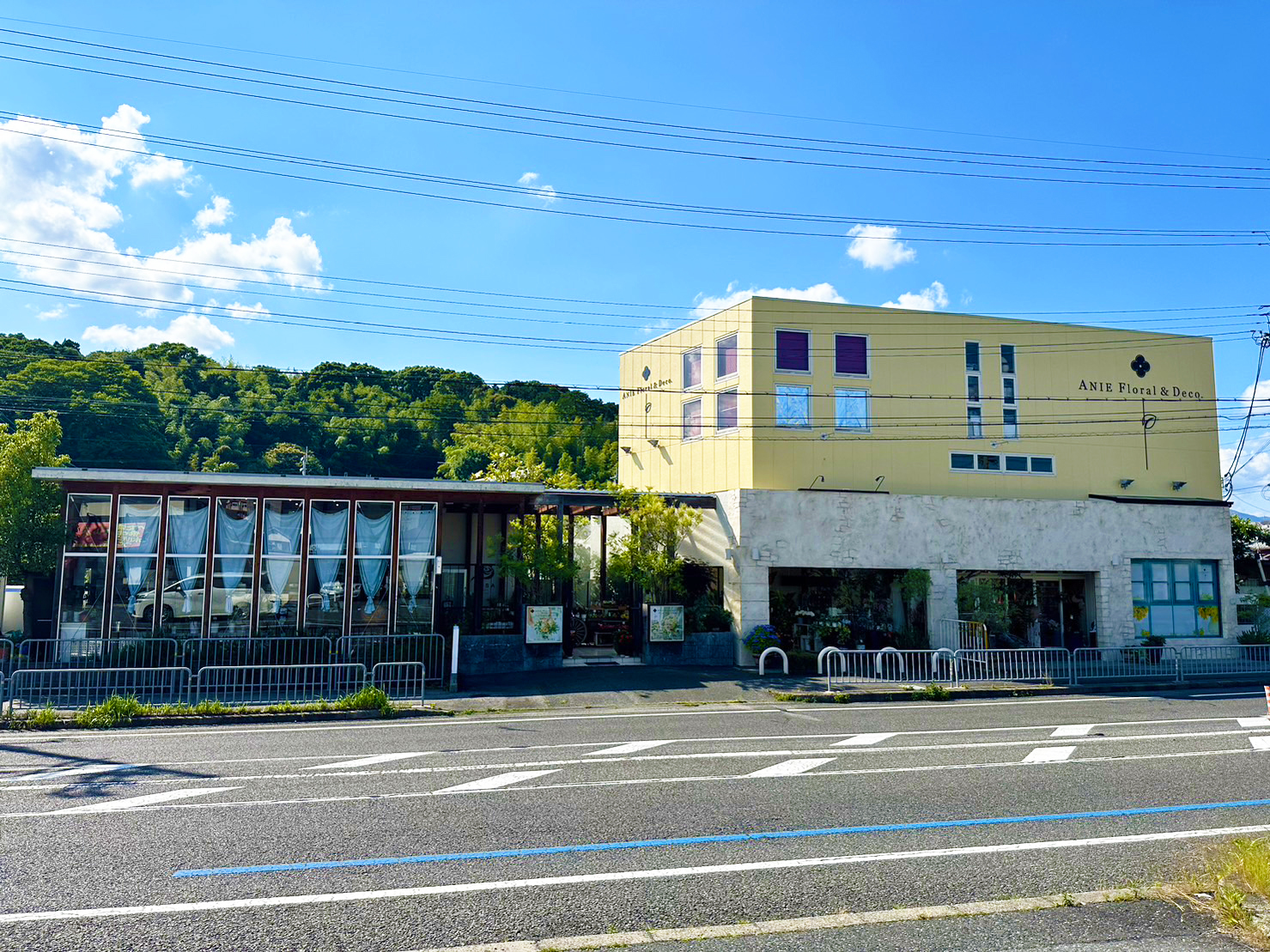 フローリッシマ 