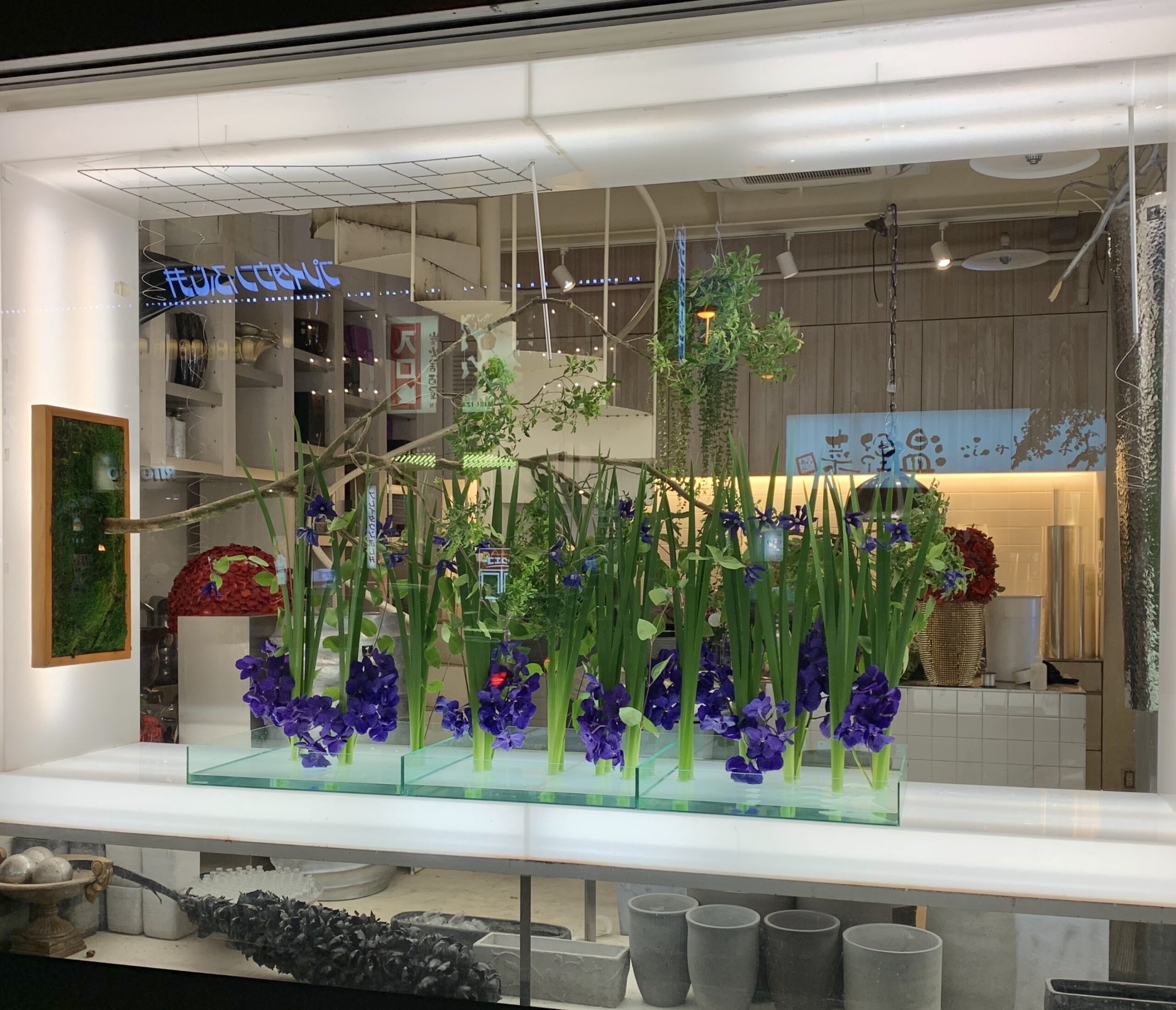 ＨＵＧ　ＦＬＯＷＥＲ’Ｓ  