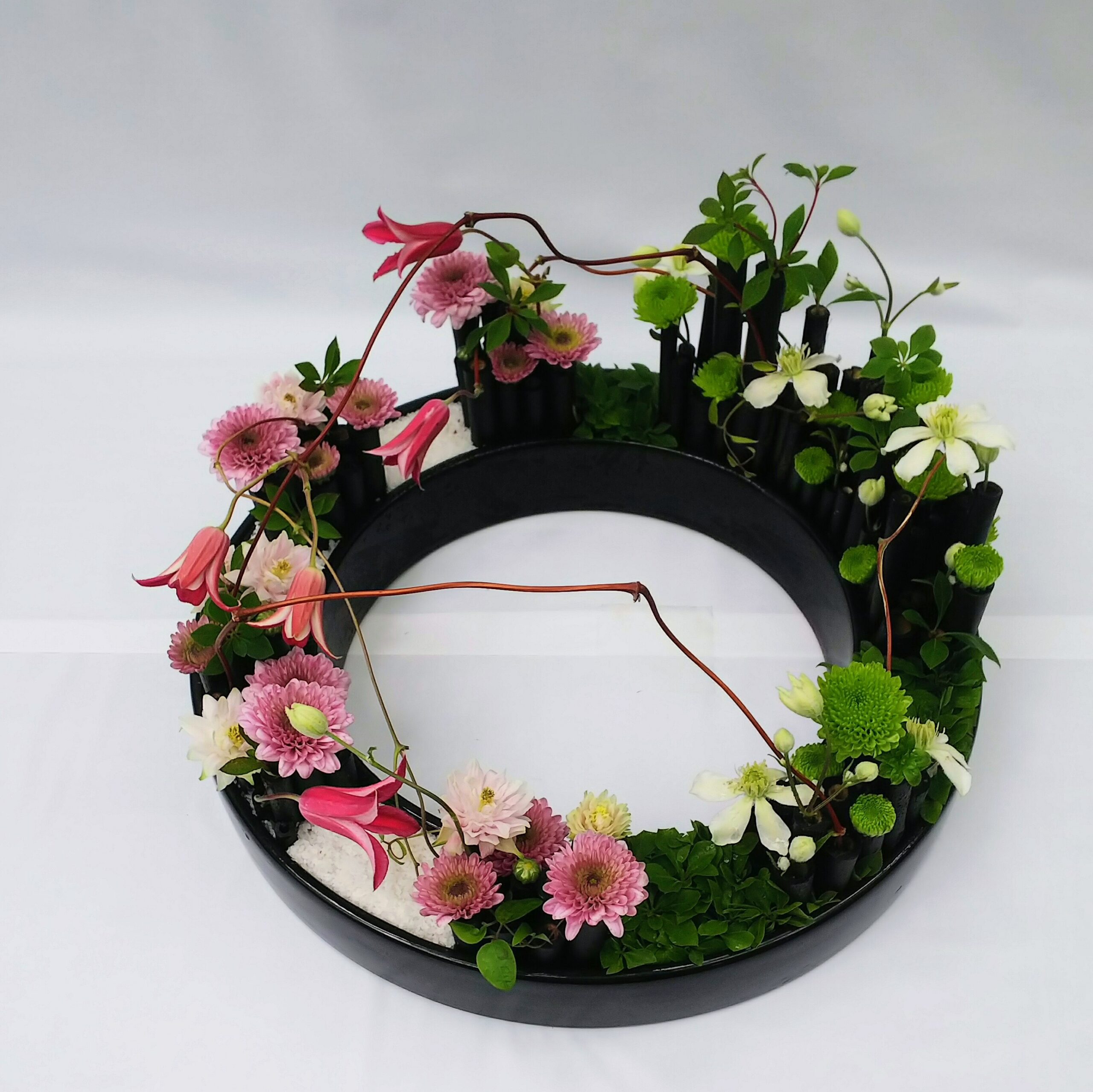 ピンク、グリーンの菊