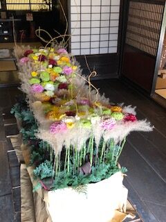 和室と色とりどりの菊