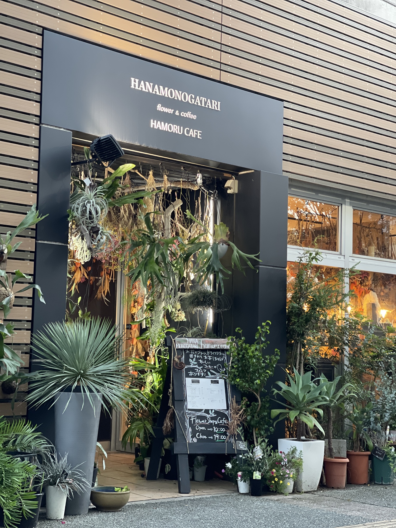 ＨＡＮＡＭＯＮＯＧＡＴＡＲＩ 