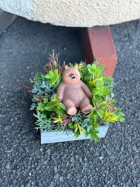 グリーンでくつろぐ熊