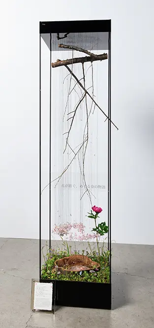 久保田 一輝氏の作品