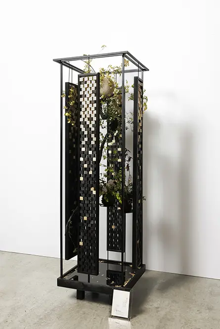 荒木 聡氏の作品