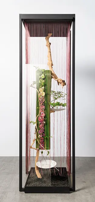 村瀬 将之氏の作品