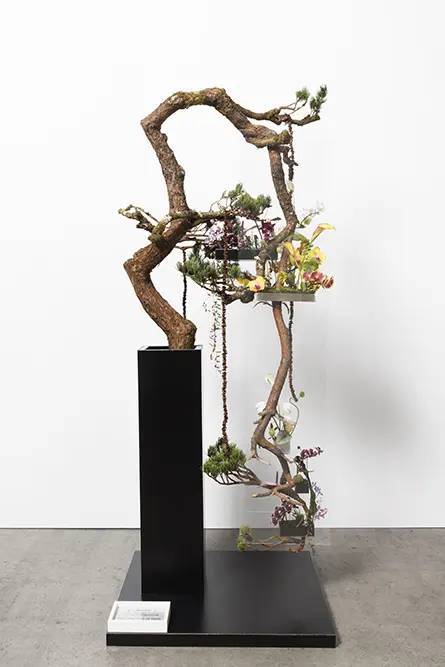 岡田 哲哉氏の作品